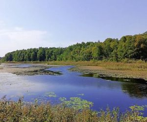 Puszcza Białowieska to idealny pomysł na odwiedziny jesienią