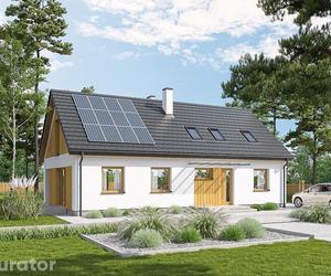 Projekt domu A101 W cieniu drzew (etapowy) - wizualizacja po zaadaptowaniu poddasza - okna w dachu