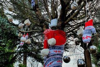 Ogrody Kapias przygotowane na zimę