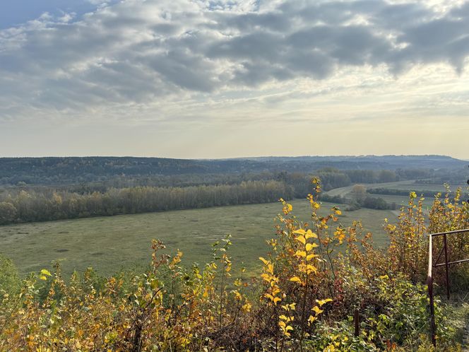 Tak wygląda Janowiec nad WIsłą w jesiennej odsłonie