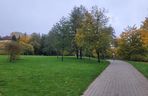To najlepszy park w Olsztynie na jesienny spacer. Wyboru dokonała sztuczna inteligencja