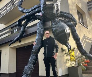 Gigantyczny pająk z plastikowych butelek ozdobił dom w Lublinie