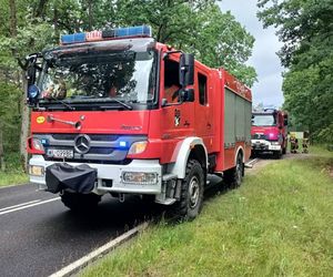 Sportowym bmw roztrzaskał się na drzewie. Wypadek pod Legionowem