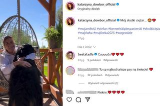 Te psy skradły serca gwiazd! Niektóre wyglądają jak z bajk