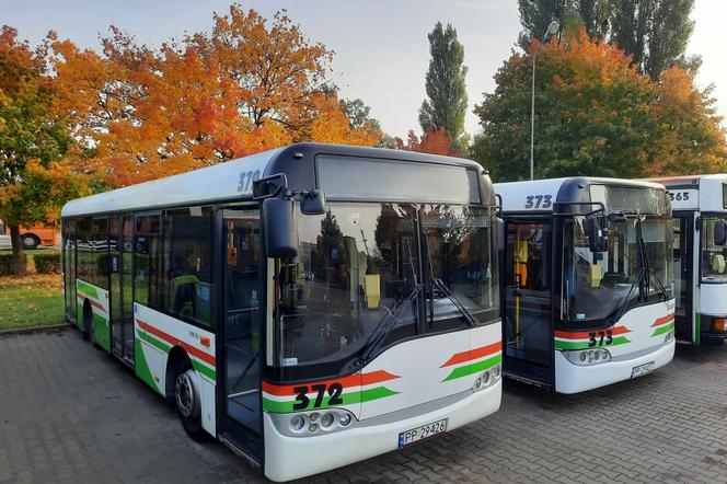 Autobusy miejskie z Piły dojadą do sołectwa Nowa Zawada