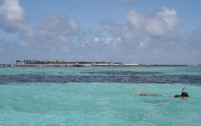 Tobago Cays