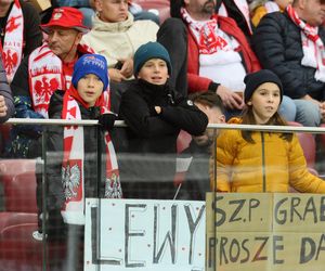 Polska - Holandia: Kibice na meczu. Znajdź się na trybunach