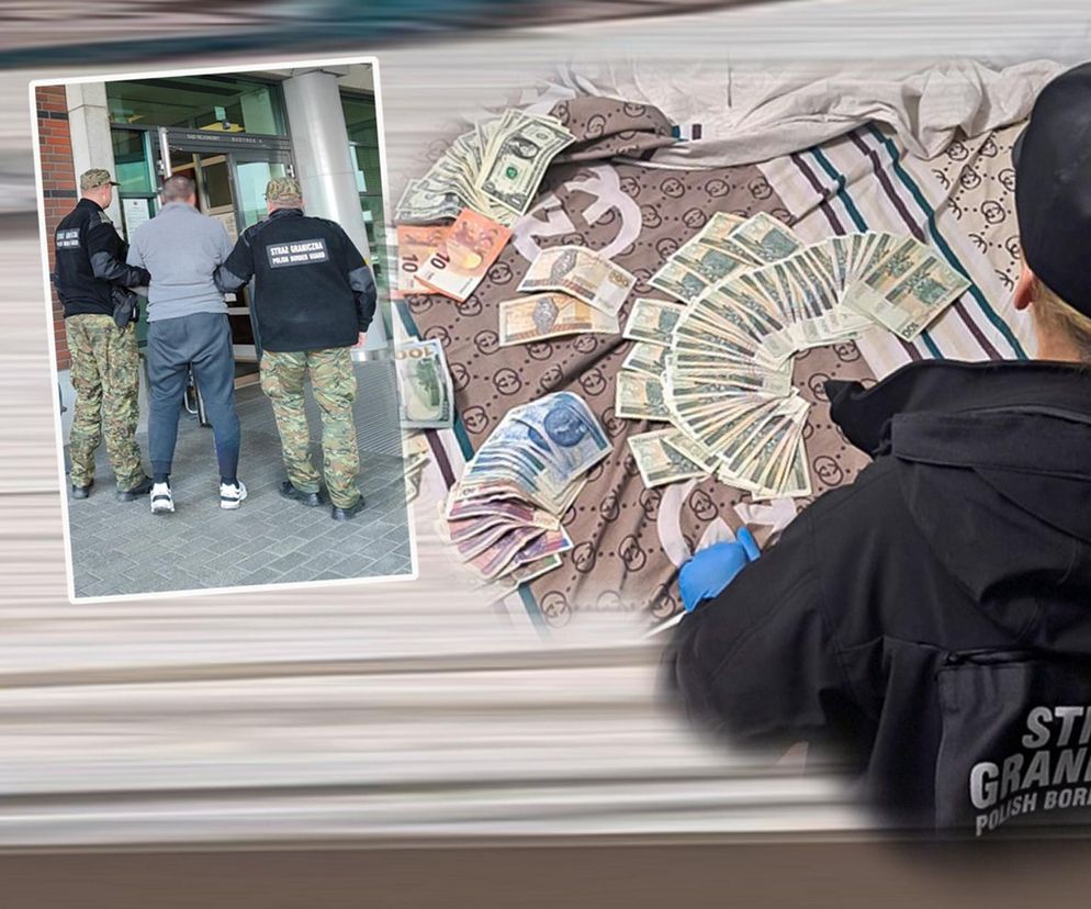 Gang Ukraińców rozbity! Fikcyjne firmy i setki nielegalnych imigrantów w Polsce