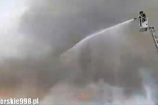 Ogromny pożar Biedronki w Słupsku. Obiekt niemal całkowicie zniszczony