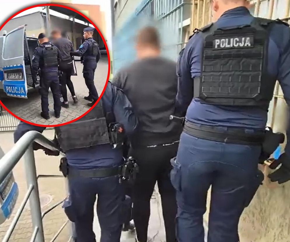 Horror w lesie. Mężczyzna z maczetą i gazem rzucił się na policjantów
