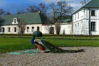 „Podlubelski Wersal” już otwarty po zimowej przerwie