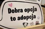 Akcja adopcyjna Fundacji Dobre Ludki w Grudziądzu