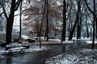 Skawiński park w zimowej otoczce