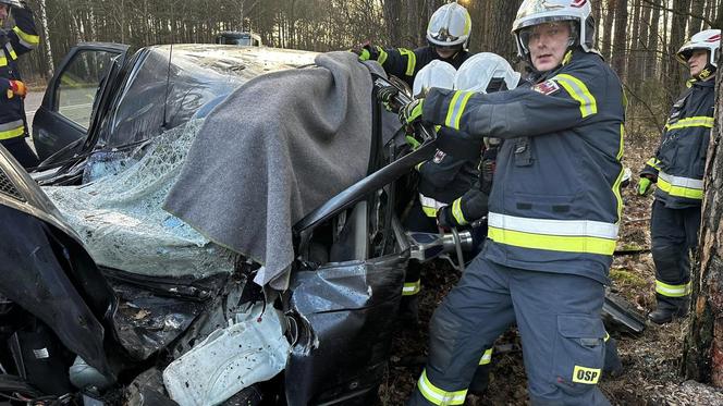 Wypadek na DK 10 w Solcu Kujawskim! Osobówka wypadła z drogi i uderzyła w drzewo [ZDJĘCIA]