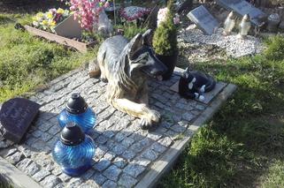 8 Cmentarz dla zwierząt w Łodzi