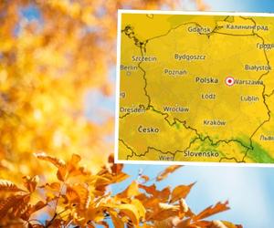 Antycyklon Timeo w Polsce. Nadciąga mocne ocieplenie! Poczujemy złotą polską jesień