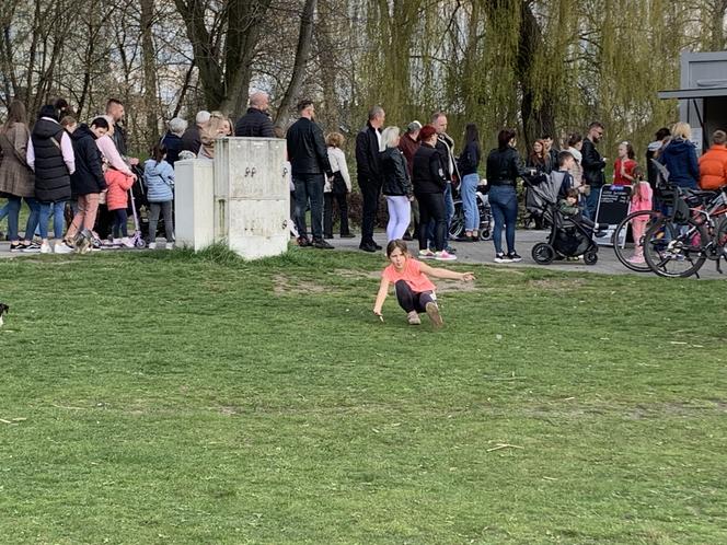 Stawiki w Sosnowcu budzą się do życia na wiosnę