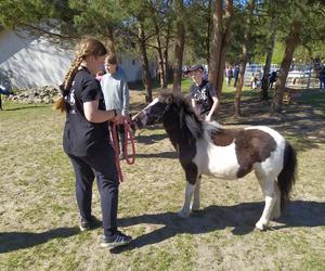 Fotorelacja z rodzinnego pikniku charytatywnego dla zwierząt z okazji I Dnia Konia w Łukówcu - 30.04.2023