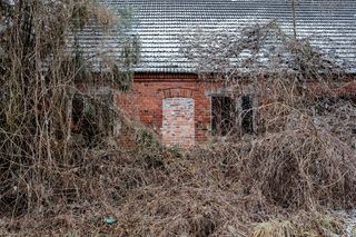 Wielkopolska wieś nagle opustoszała