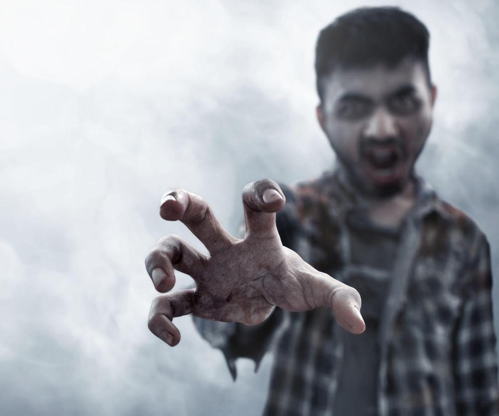 Halloween 2023 - TOP 5 książek o zombie, które są idealne na noc strachów! [LISTA]