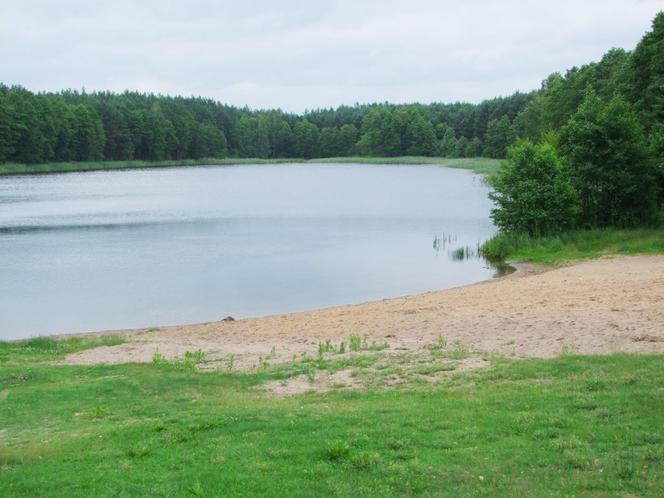 Jeziora w Toruniu i okolicach. Tutaj możesz odpocząć nad wodą