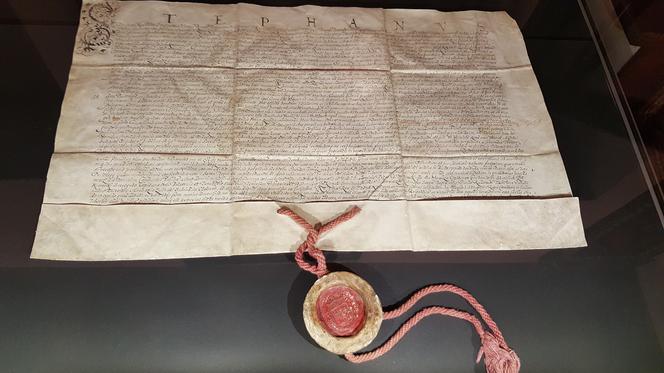 Zamość: Muzeum Zamojskie pokaże oryginalny akt lokacyjny Zamościa  z 1558 roku 