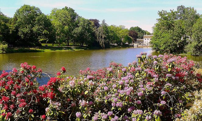 Szukasz plenerów do fotografii? Sprawdź, gdzie robić zdjęcia w Warszawie! [GALERIA]