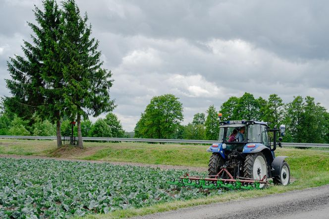 "Rolnik szuka żony"