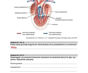 Matura 2025 biologia rozszerzona: ODPOWIEDZI do wszystkich zadań, gotowe rozwiązania matury z biologii rozszerzonej - Formuła 2015 [9.05.2025]	
