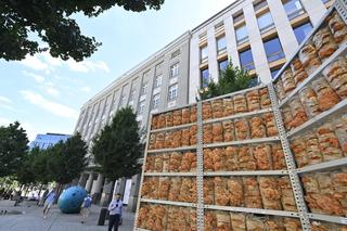 Różowe grzyby na placu Pięciu Rogów w Warszawie. Intrygujące rusztowanie, przechodnie w szoku