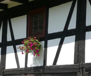 Remont domu szachulcowego w Płóczkach Górnych (Dolny Śląsk)