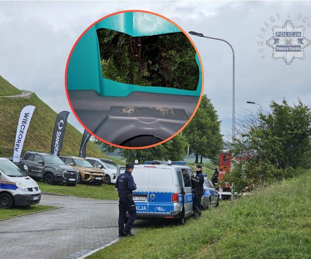 Policyjne interwencje na Dniach Piekar Śląskich. W tle dziura w toi toiu