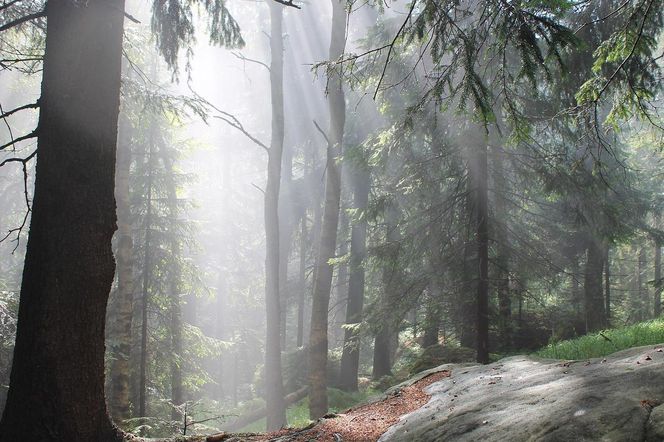 Błędne Skały to polska wersja Bryce Canyon. Są zaledwie kilka godzin od Wrocławia