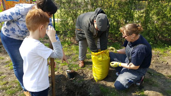 Nowe drzewa i krzewy w Parku Polisensorycznym