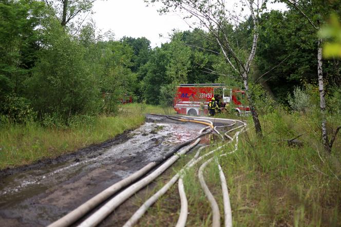 Gigantyczny pożar lokomotywowni na Śląsku Cieszyńskim. Słup ognia i kłęby dymu widoczne z wielu kilometrów