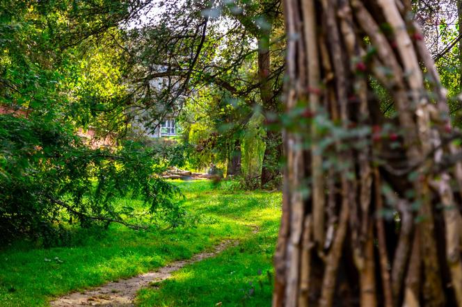 Park Fosa i Stoki Cytadeli w Warszawie