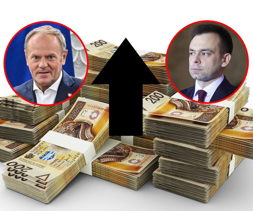 Tusk, Domański, pieniądze, strzałka