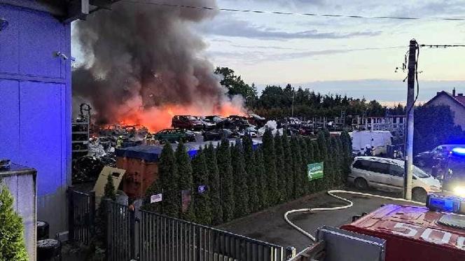 Pożar składowiska wraków samochodów w Maliniu koło Mielca