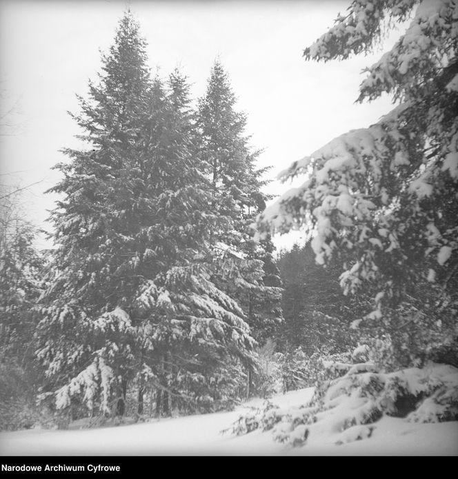 Tak wyglądała praca w wałbrzyskich kopalniach w 1946 roku. Niesamowite zdjęcia górników