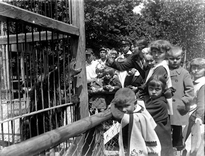 Zoo w Zamościu na starych zdjęciach