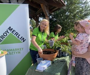 Eska Summer City Olsztyn na 10. edycji Festiwalu Koloryt cz.2