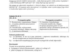 Matura 2019 z biologii [ARKUSZE CKE, ODPOWIEDZI]