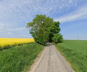 To najmniejsza wieś w Polsce. Ma zaledwie 30 hektarów i tylko kilku mieszkańców