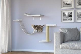 AniOne Zestaw naścienny do wspinania i drapania - 195 zł