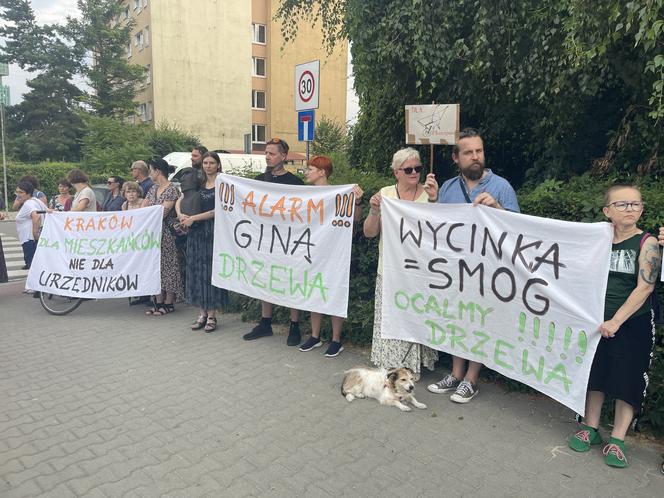 Protest mieszkańców przeciwko wycince drzew pod budowę linii tramwajowej do Mistrzejowic.