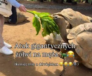 Maciej Orłoś, Paulina Orłoś