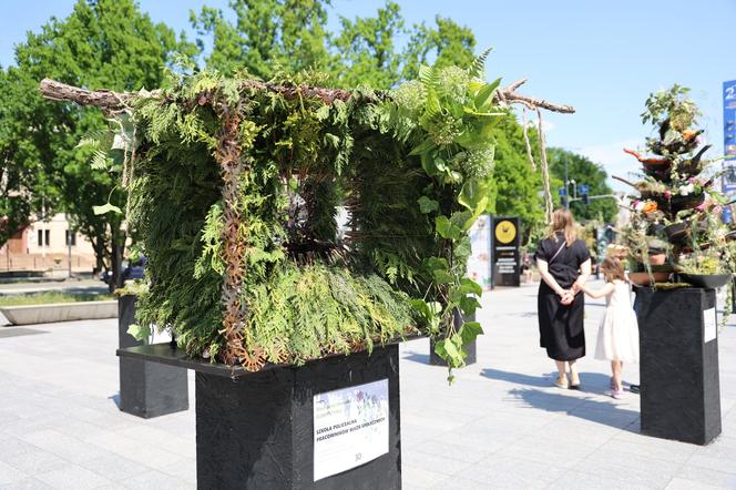 Weekend z florystyką w Lublinie. Zobacz imponujące roślinne instalacje w centrum miasta!