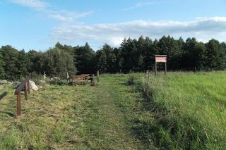 Głazowisko Bachanowo w woj. podlaskim