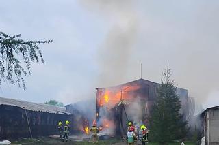 Ogromny pożar kurnika pod Olsztynem. W akcji udział brało aż 18 zastępów straży pożarnej [ZDJĘCIA]