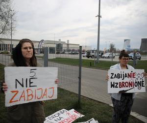 Targi łowiectwa w Krakowie. Przed Halą EXPO protestowali obrońcy zwierząt